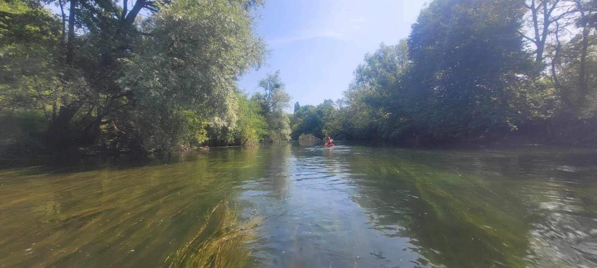 Detente A Sorques Montigny-sur-Loing Zewnętrze zdjęcie